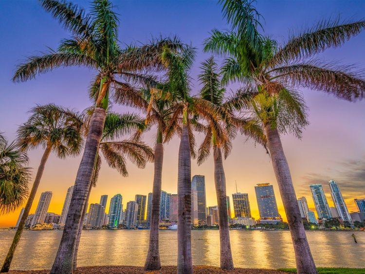 Miami news